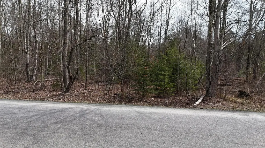 Hasbrouck A Road Fallsburg NY 12733