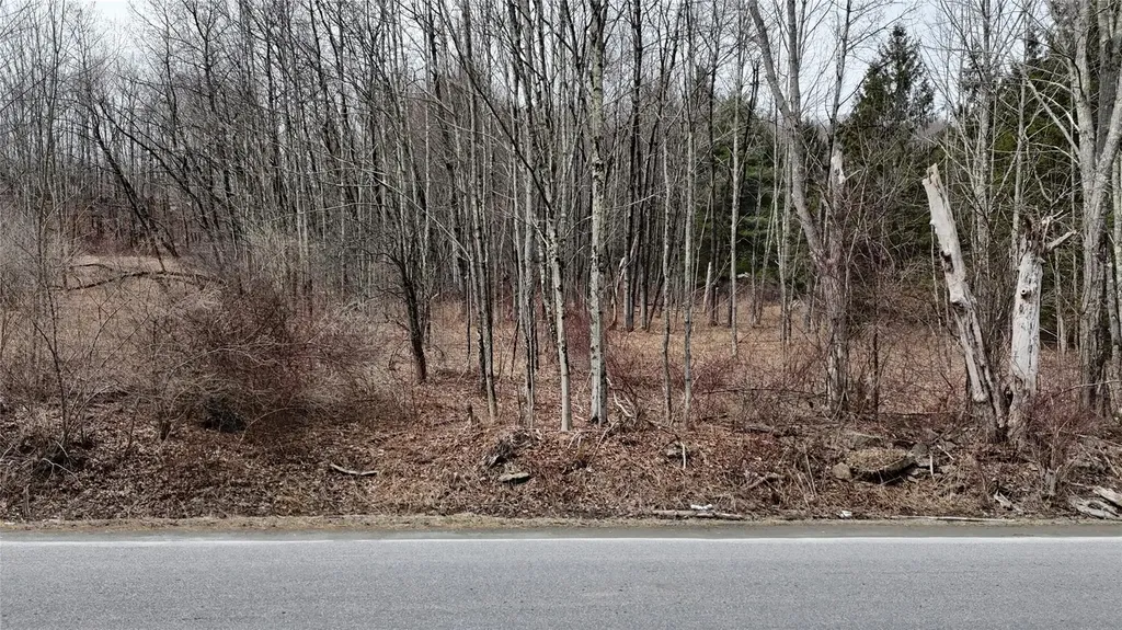 Hasbrouck A Road Fallsburg NY 12733