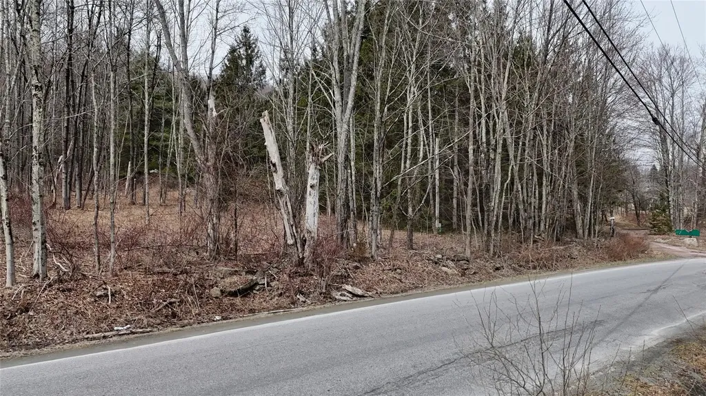 Hasbrouck A Road Fallsburg NY 12733