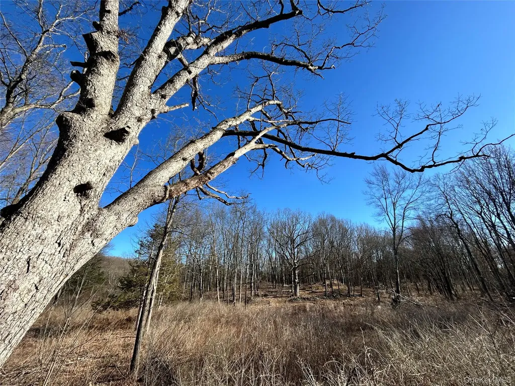 RT-9G Rhinebeck NY 12572