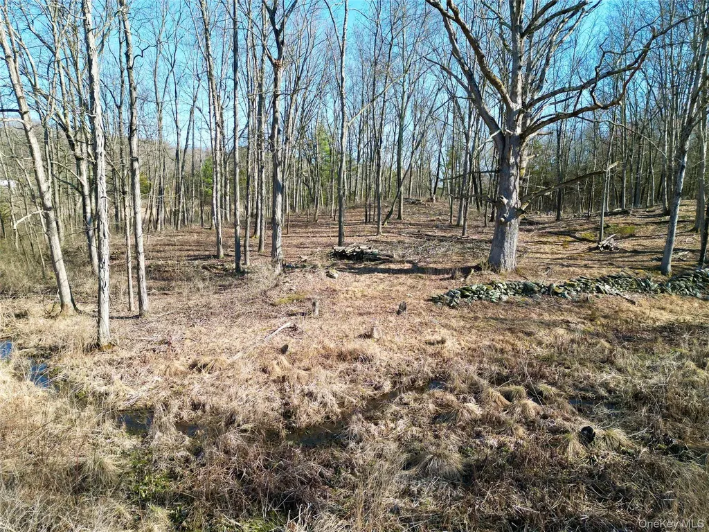 RT-9G Rhinebeck NY 12572