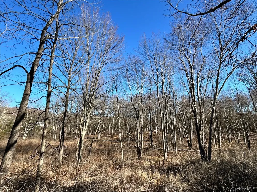 RT-9G Rhinebeck NY 12572