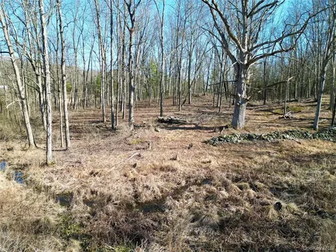 RT-9G Rhinebeck NY 12572