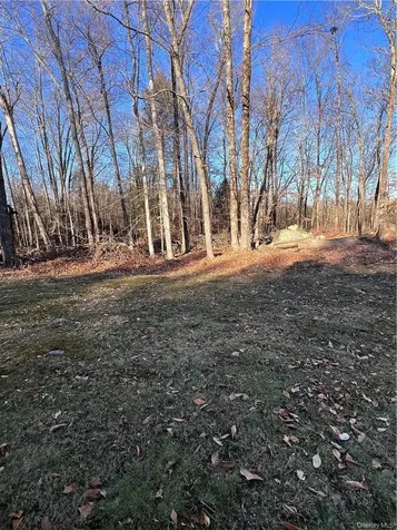 45 W Adirondack Trail Smallwood NY 12778