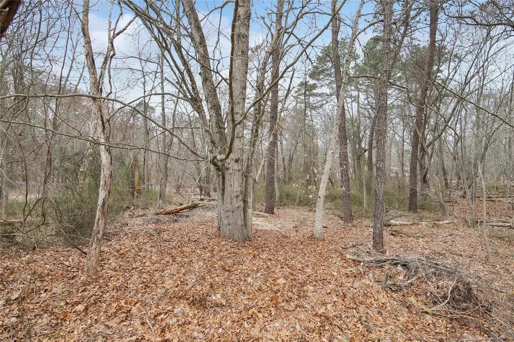 20 Ruth Lane Ridge NY 11961