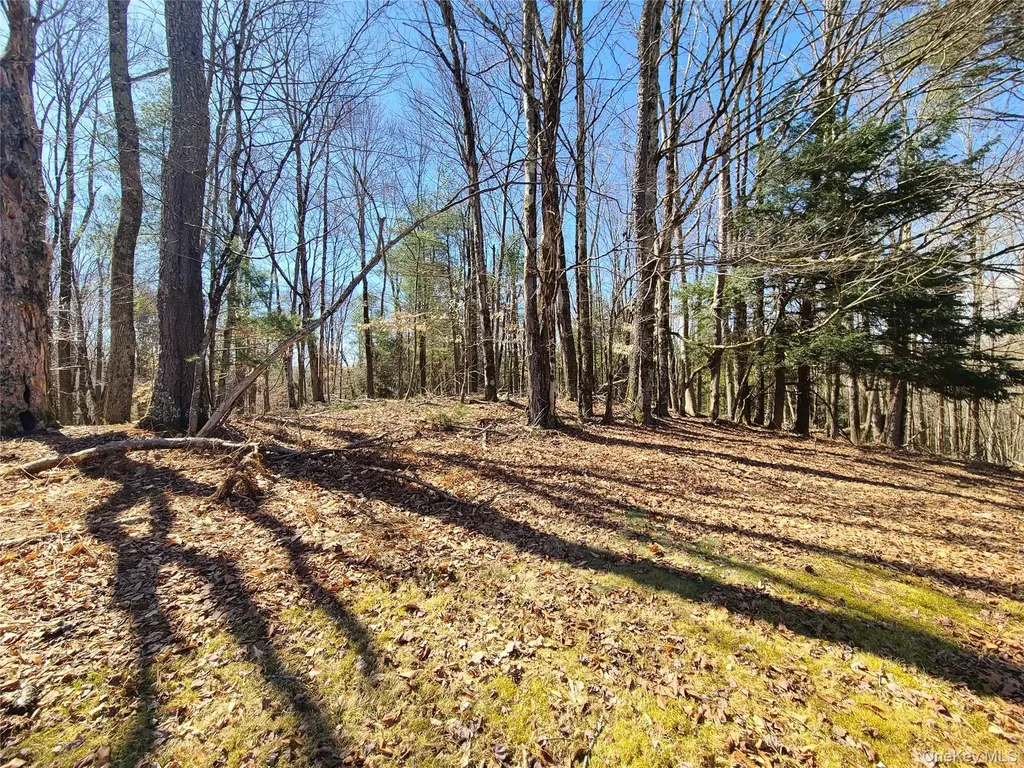 1095 State Route 17b Mongaup Valley NY 12762