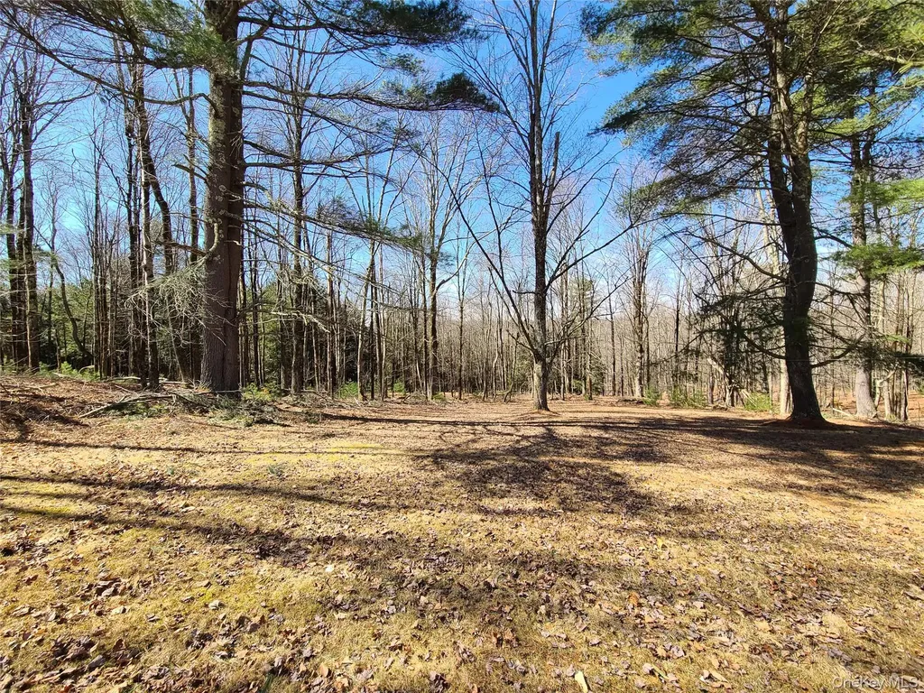 1095 State Route 17b Mongaup Valley NY 12762