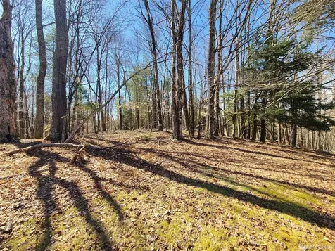 1095 State Route 17b Mongaup Valley NY 12762