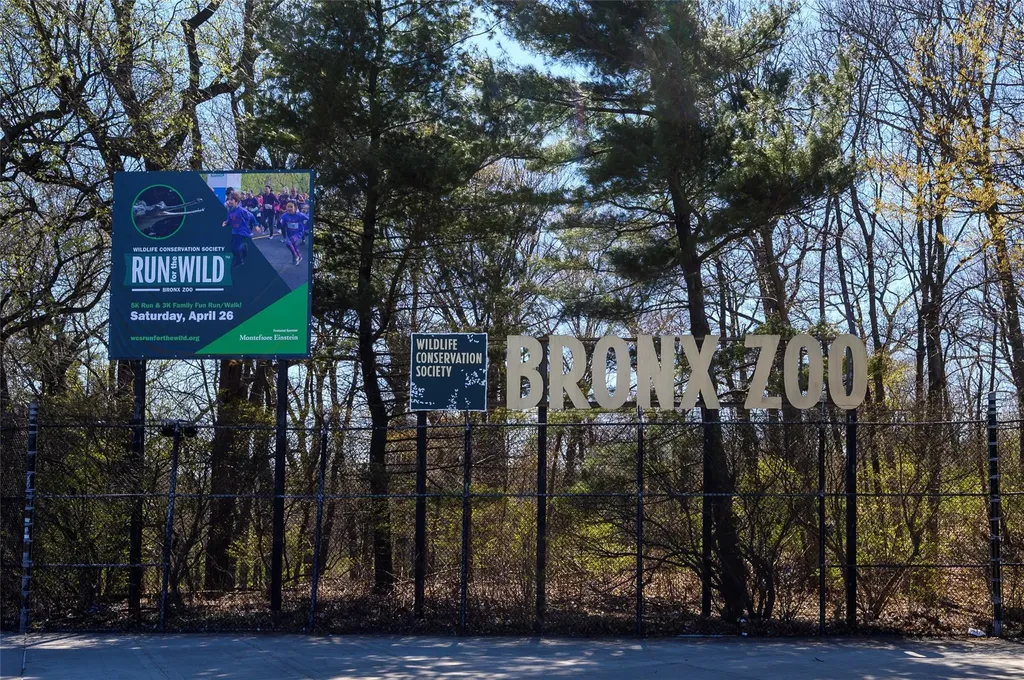 2419-2421 Southern Boulevard Bronx NY 10458