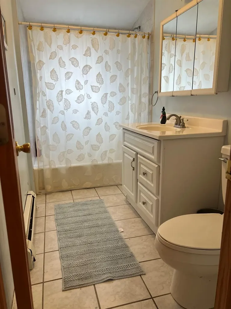 220 Raff Avenue Mineola NY 11501