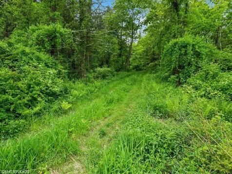 Skunks Misery Lot 2 Road Millerton NY 12546
