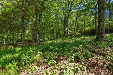8 Prickly Pear Hill Road Croton-on-hudson NY 10520