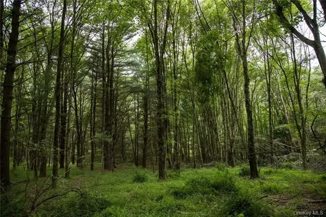 Lot 1 Chapin Trail White Lake NY 12786