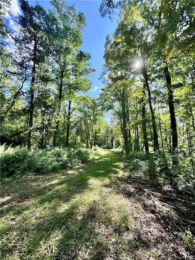 88 Prices Switch Road Warwick NY 10990