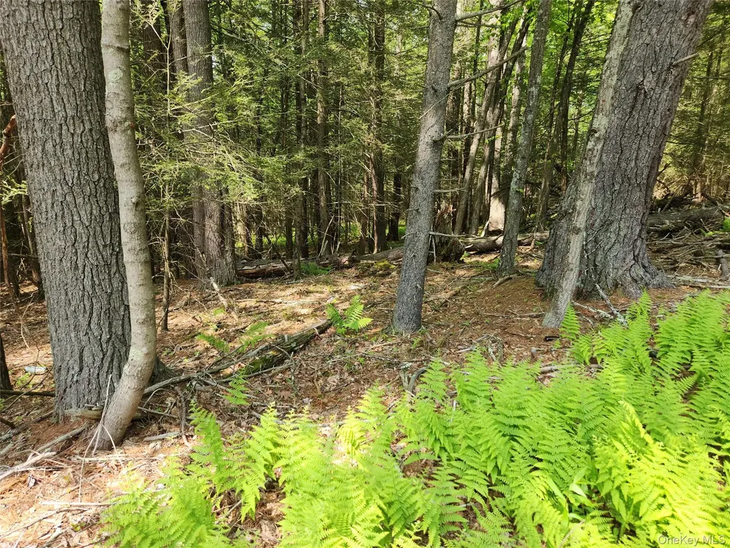 Highland Lake Eldred NY 12732