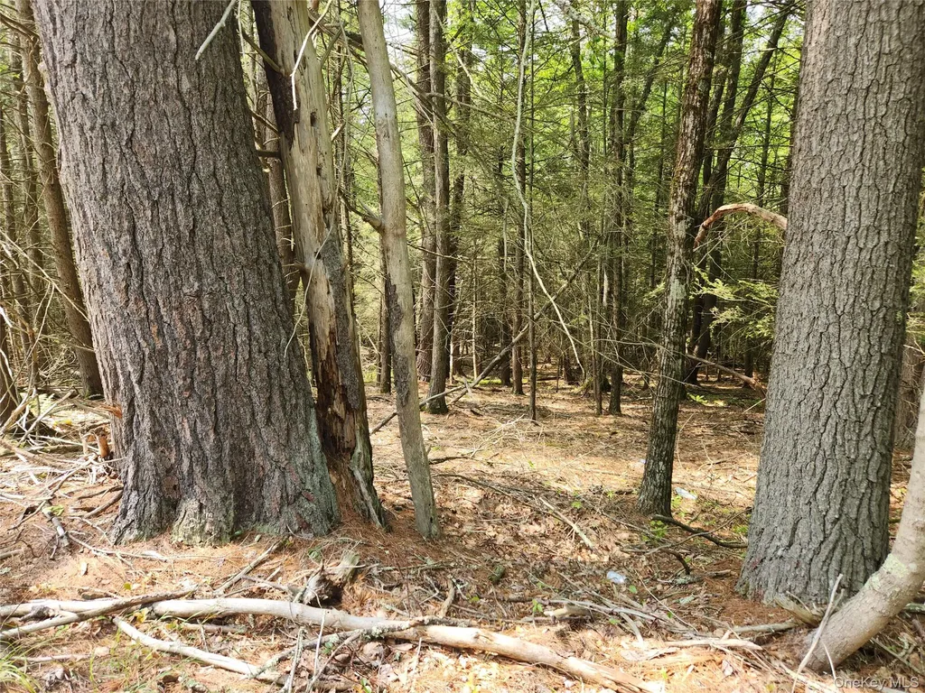 Highland Lake Eldred NY 12732
