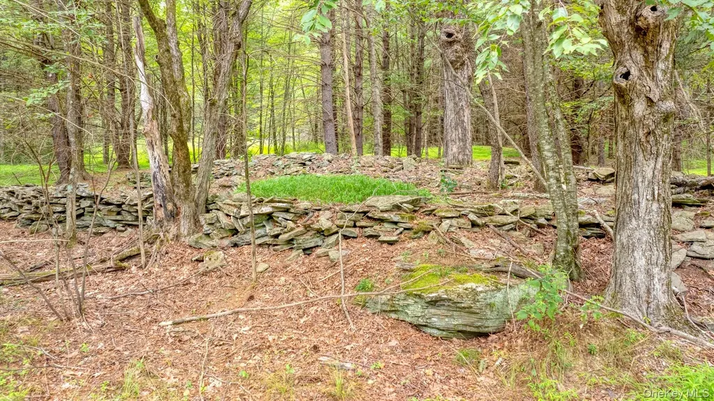18 Jomar Lane Olivebridge NY 12461
