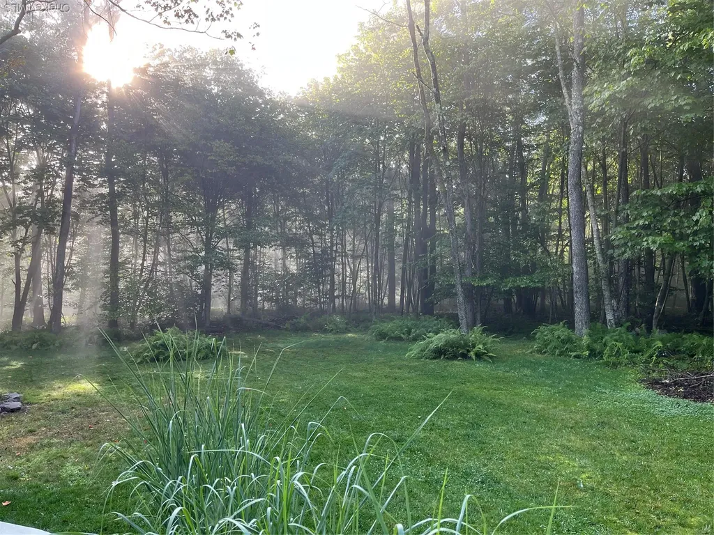 247 Maccabee Road Roscoe NY 12776