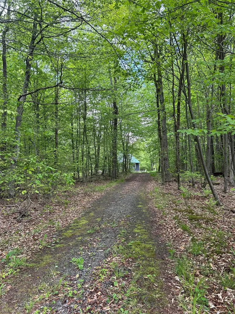 247 Maccabee Road Roscoe NY 12776