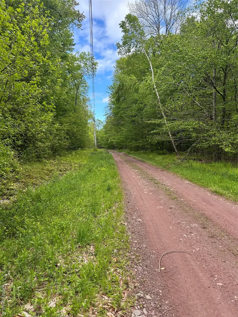 247 Maccabee Road Roscoe NY 12776