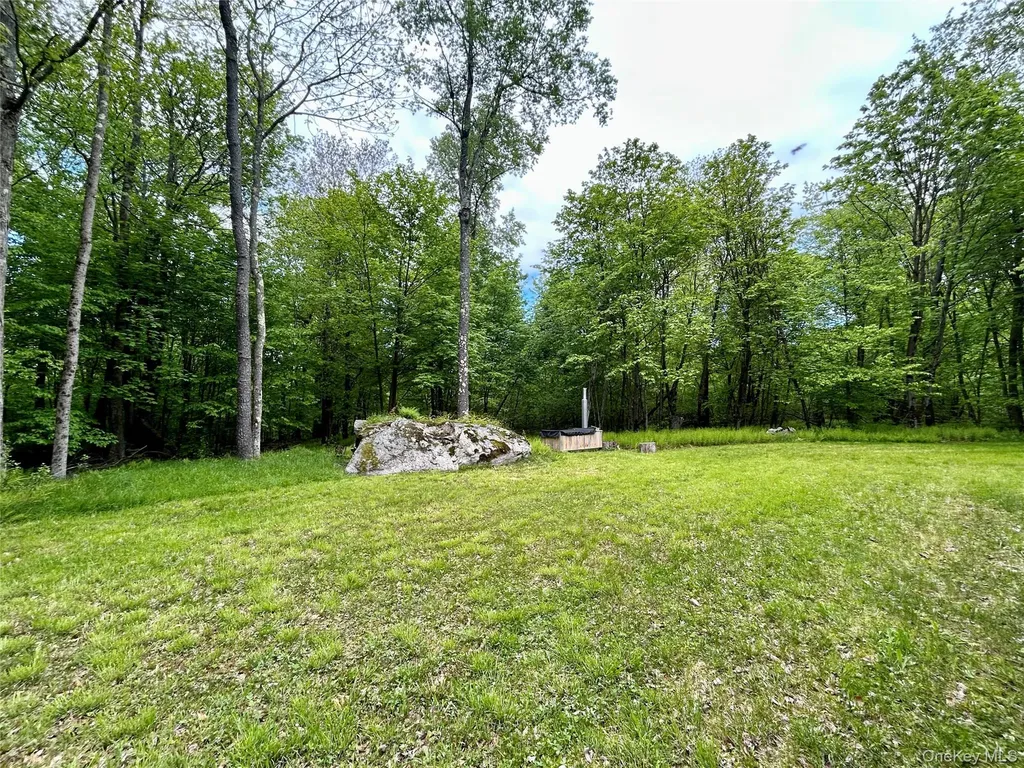 247 Maccabee Road Roscoe NY 12776
