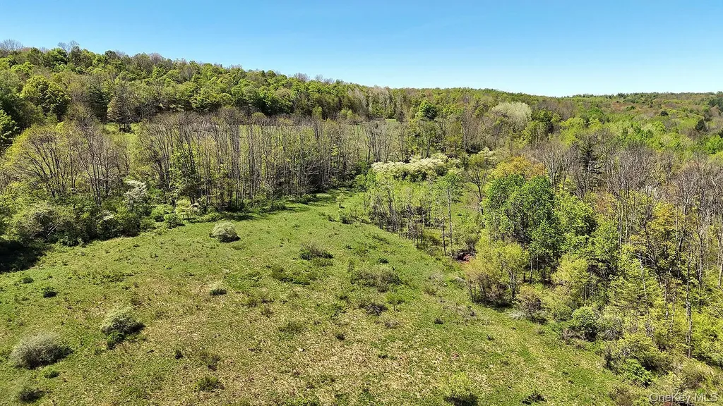 3392 Eminence Road Hancock NY 13783