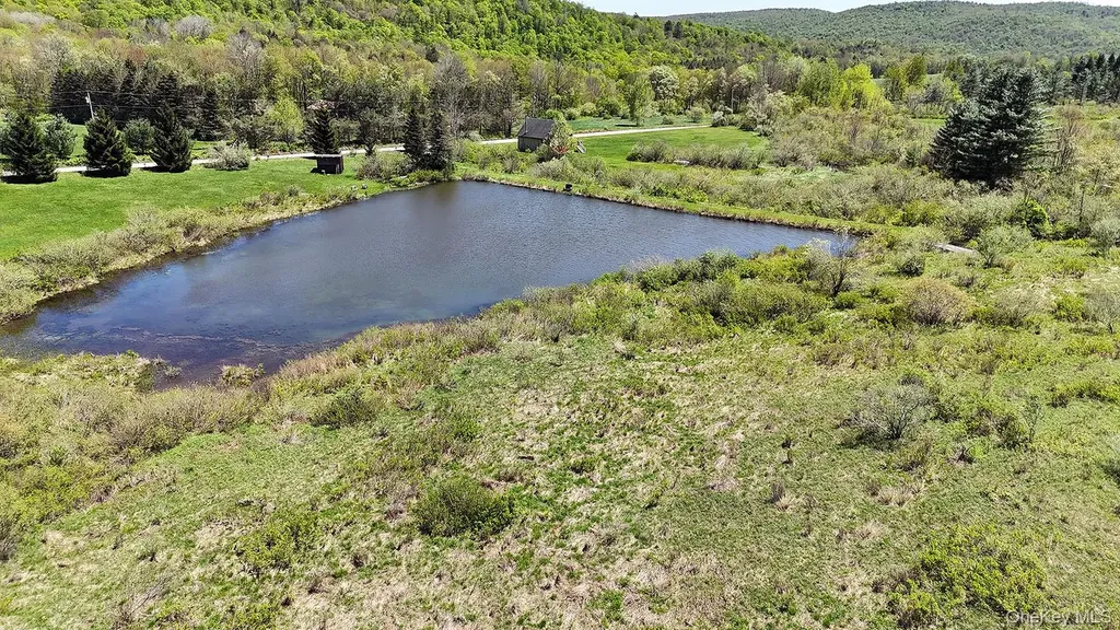 3392 Eminence Road Hancock NY 13783