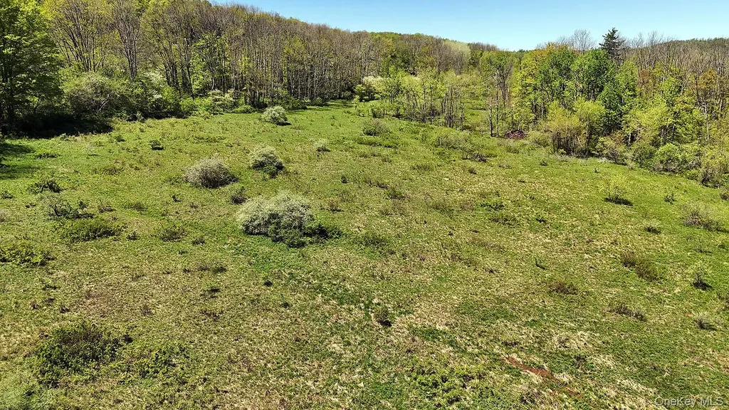 3392 Eminence Road Hancock NY 13783