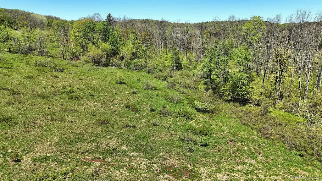 3392 Eminence Road Hancock NY 13783