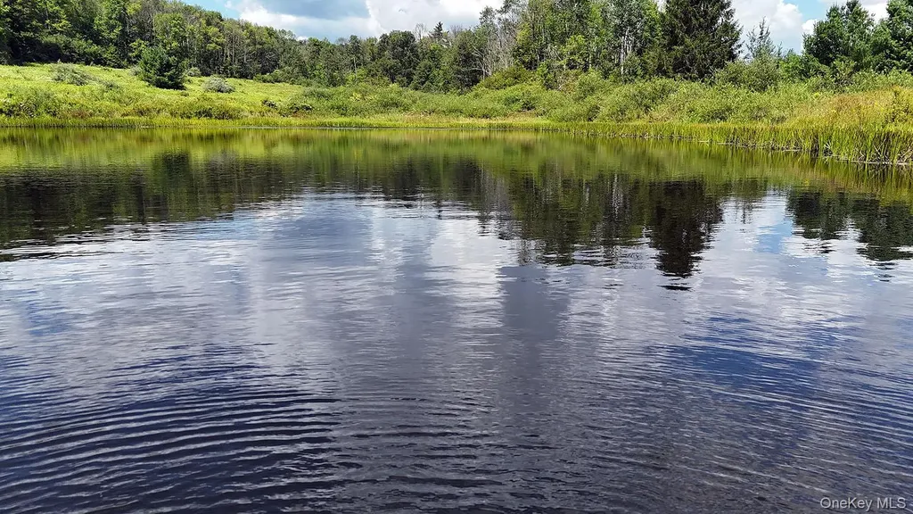 3392 Eminence Road Hancock NY 13783