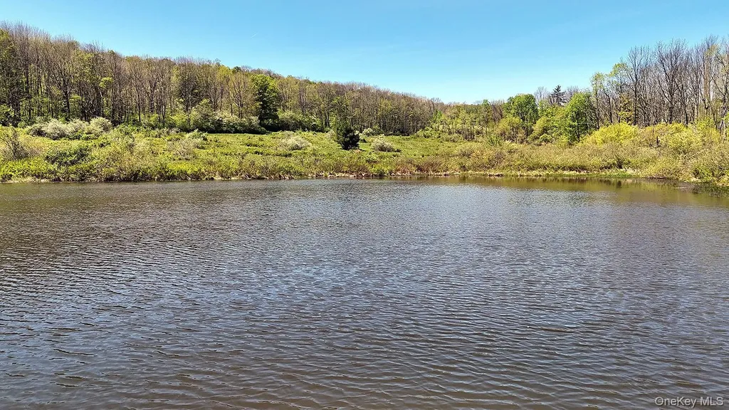 3392 Eminence Road Hancock NY 13783