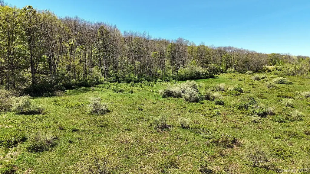 3392 Eminence Road Hancock NY 13783