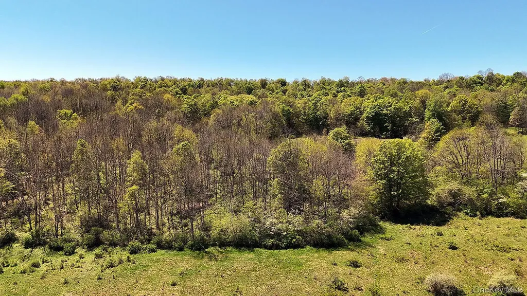 3392 Eminence Road Hancock NY 13783