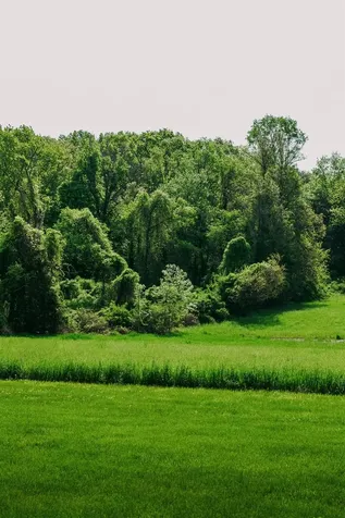 3 Patten Road Rhinebeck NY 12572
