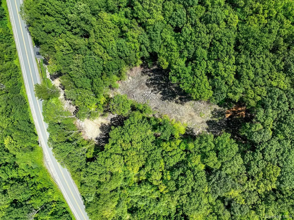 Mamakating Road Wurtsboro NY 12790
