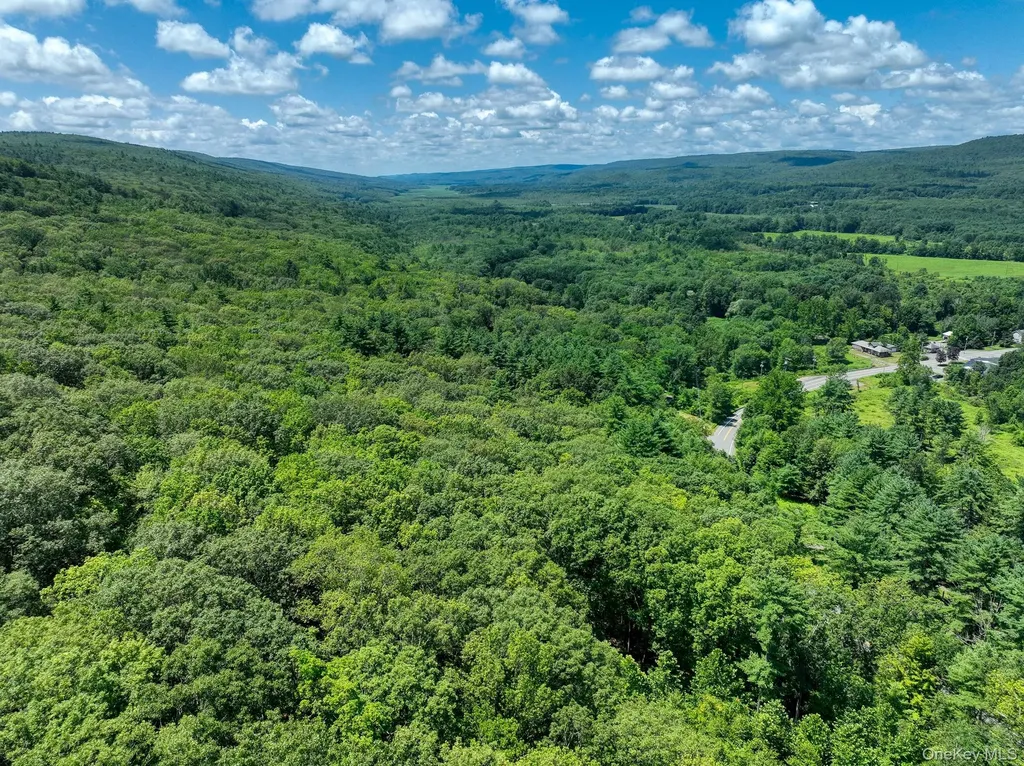 Mamakating Road Wurtsboro NY 12790