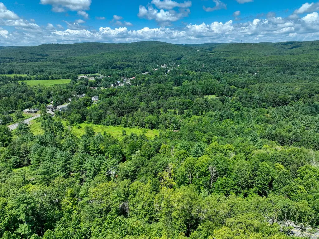 Mamakating Road Wurtsboro NY 12790