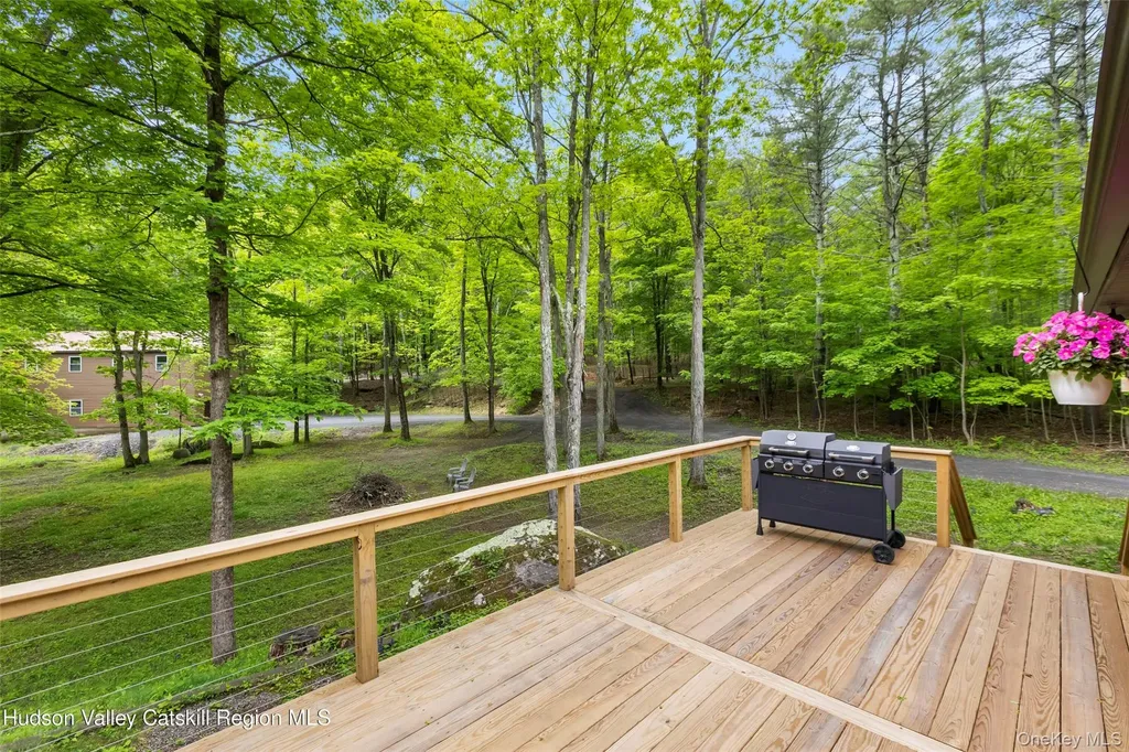 48 Deer Park Road Cairo NY 12473