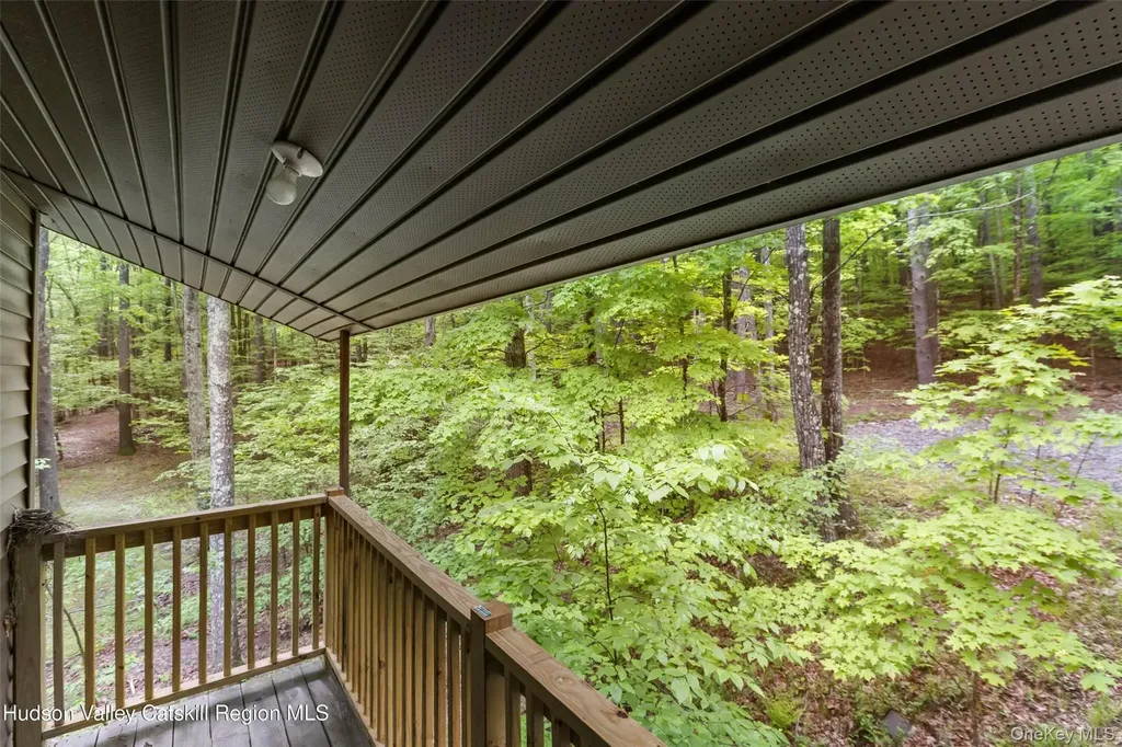 48 Deer Park Road Cairo NY 12473