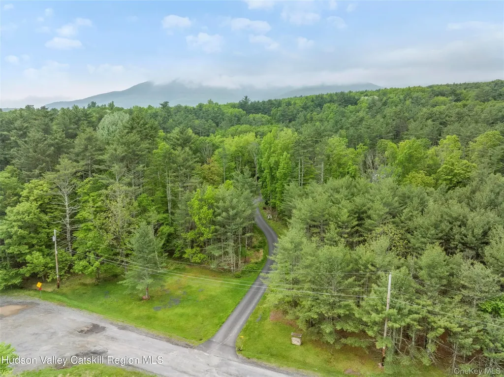 48 Deer Park Road Cairo NY 12473