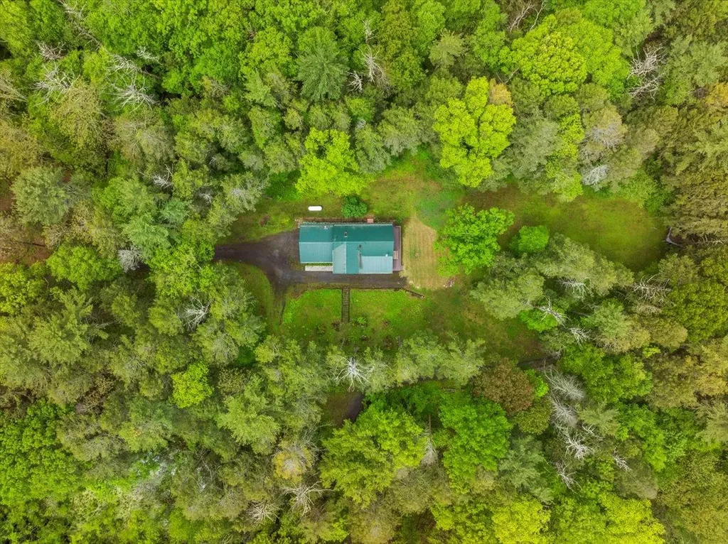 40 Old Travis Road Catskill NY 12414
