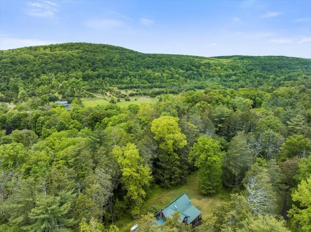 40 Old Travis Road Catskill NY 12414