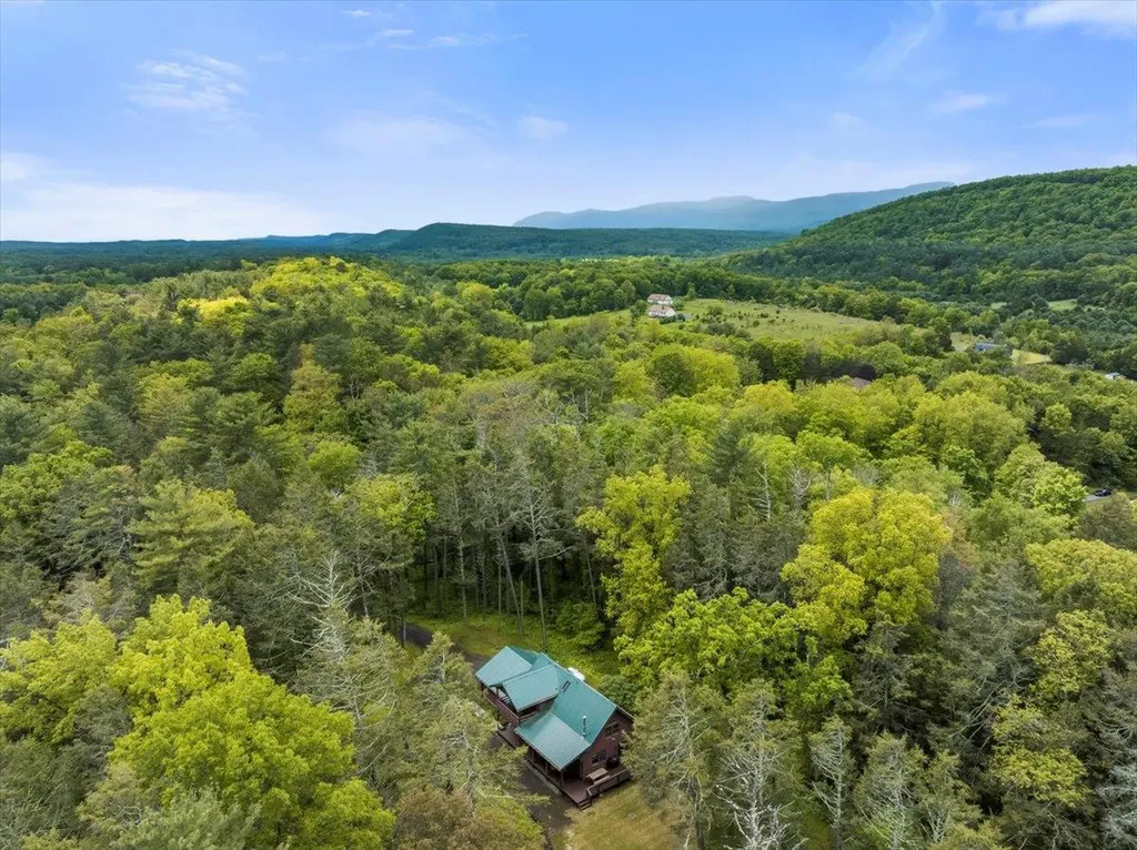 40 Old Travis Road Catskill NY 12414