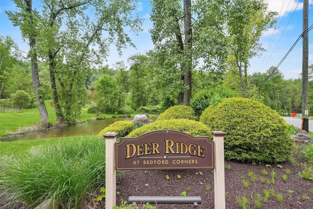 6 Deer Ridge Road Mount Kisco NY 10549
