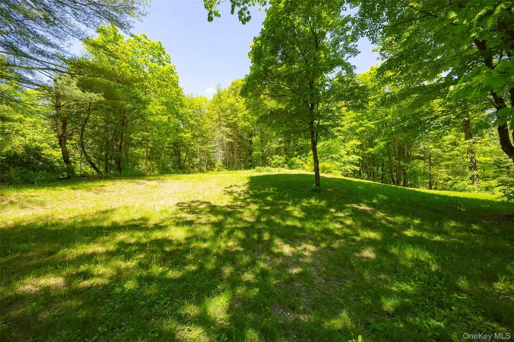 107 Near Road Red Hook NY 12571