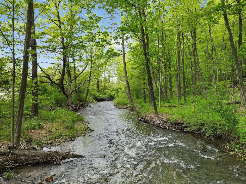 6843 Route 55 Wingdale NY 12594