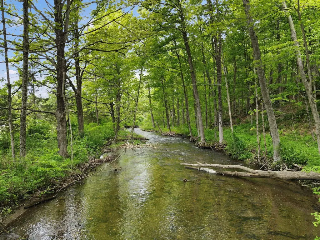 6843 Route 55 Wingdale NY 12594