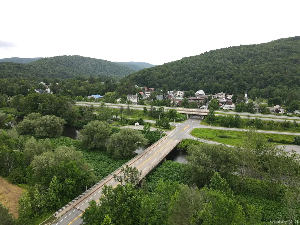 2182 Old Route 17 Roscoe NY 12776