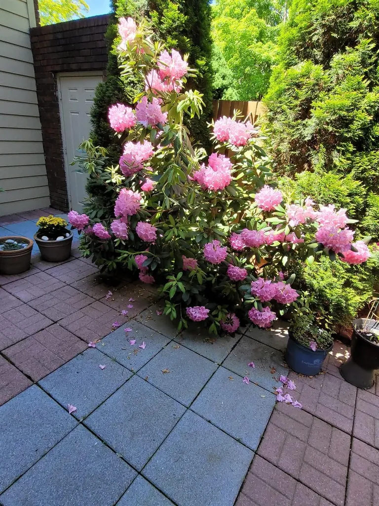 69 Laudaten Way Warwick NY 10990