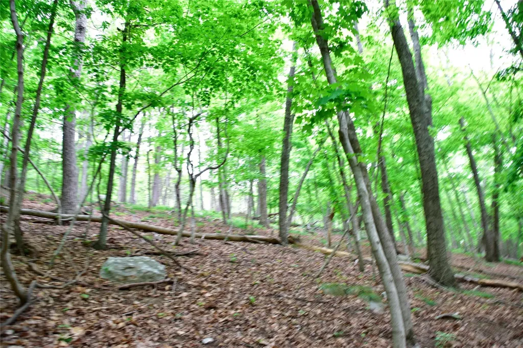 N Mountain Road Gardiner NY